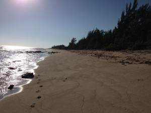 My disappearing footprints in the sand