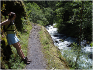 Walk the Walk in Columbia Gorge